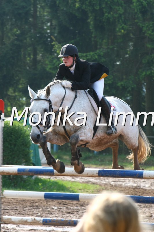 103M3022_Spring A.JPG